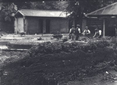 Biberbau mit Wärtern im Hintergrund, London Zoo, Juli 1916 von Frederick William Bond